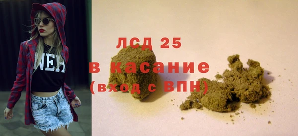 индика Алексин