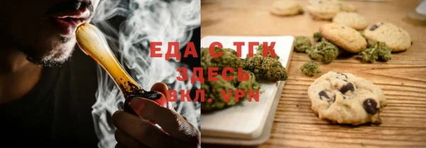 индика Алексин