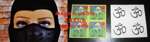 индика Алексин