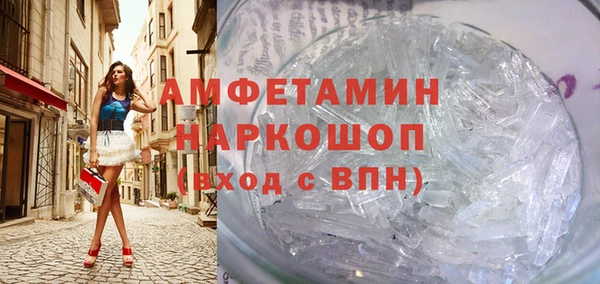 индика Алексин