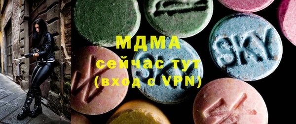 индика Алексин