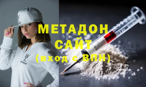 индика Алексин