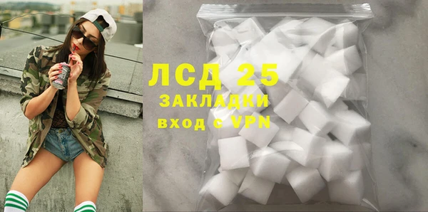 индика Алексин
