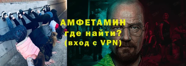 индика Алексин