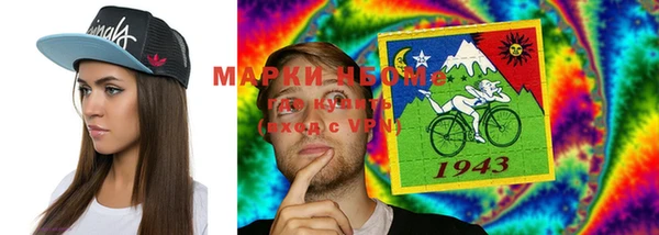 индика Алексин