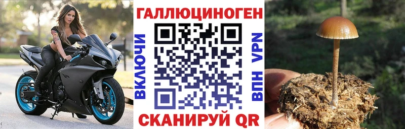 Псилоцибиновые грибы Psilocybine cubensis  магазин    Морозовск 